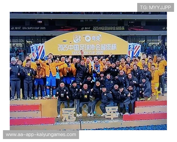 中国足球退役球员心理支持与社会融入机制，足球队退役