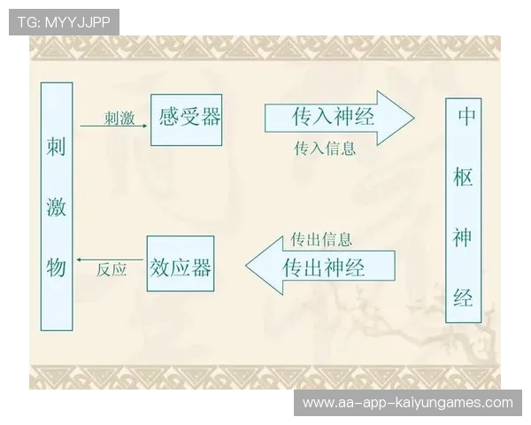战队心理状态图谱系统建立形成健康评估机制，队伍心理状况